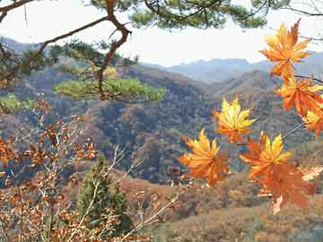 2017最新邪恶态视频